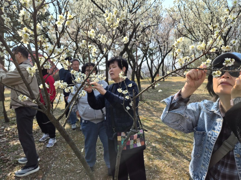 260324한밭수목원 (20).jpg