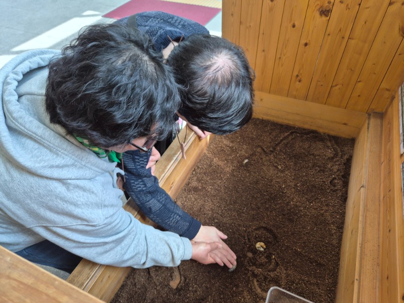 260324한밭수목원 (1).jpg